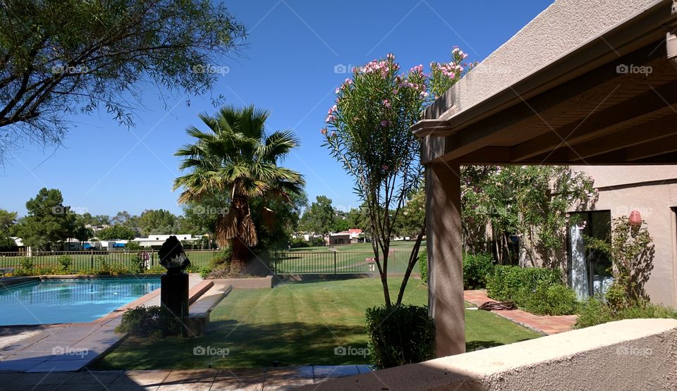 Arizona Biltmore neighborhood. golf course of Arizona Biltmore