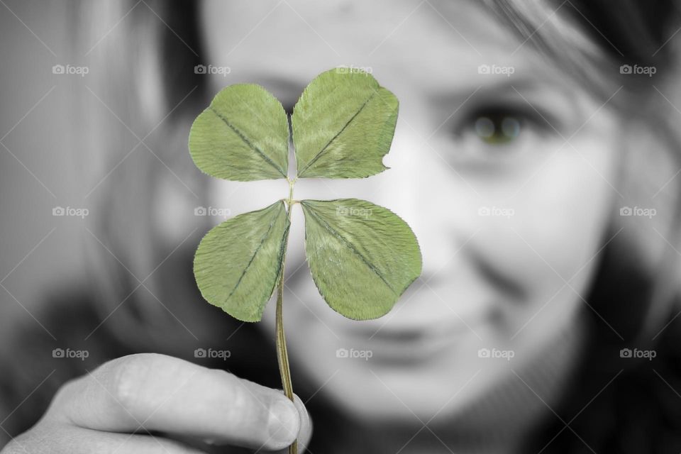 Lucky - four leaf clover