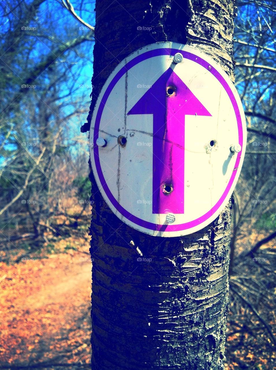 Arrow Trail Marker