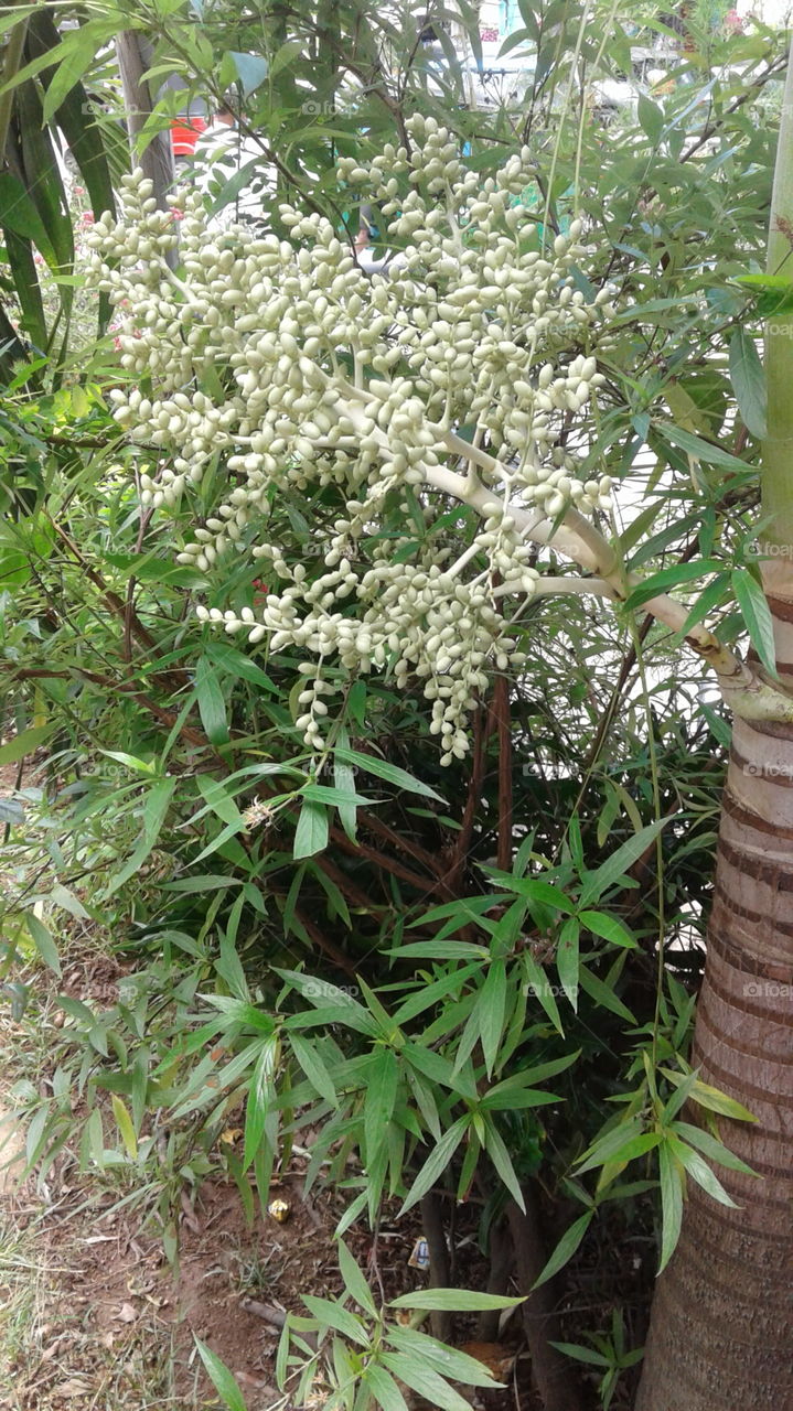 nature create beauty