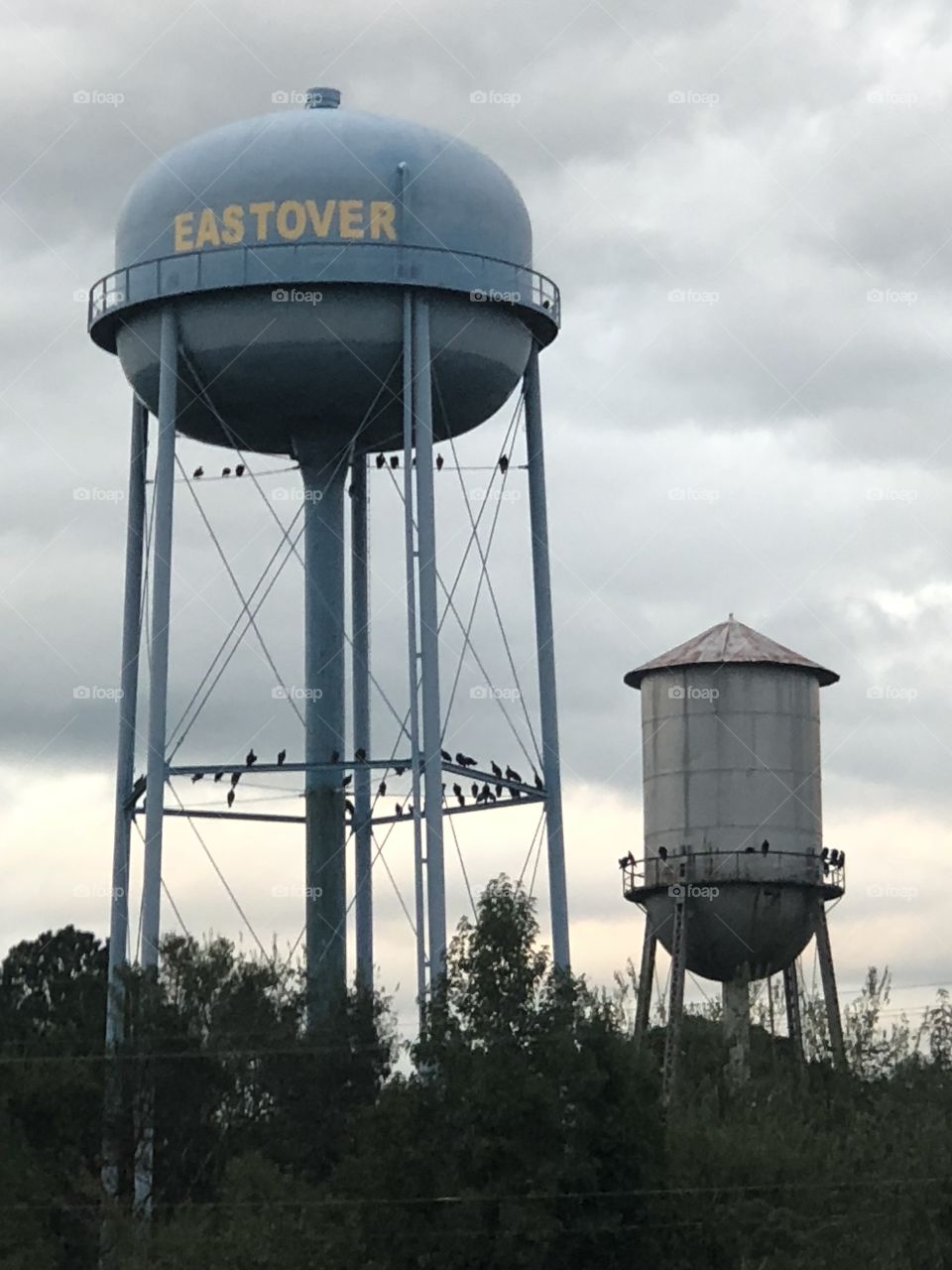 Crows gathered on water tower in Eastover, SC