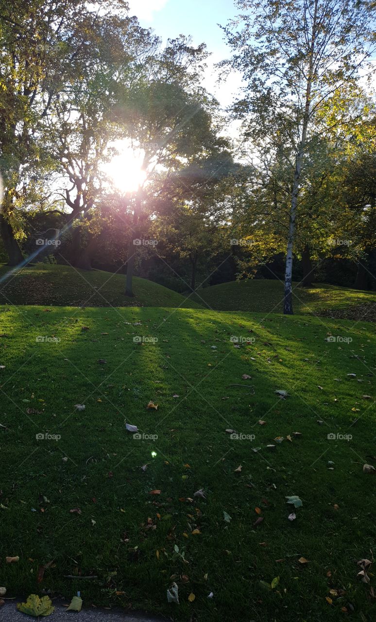 sun shine in the park on an autumn day