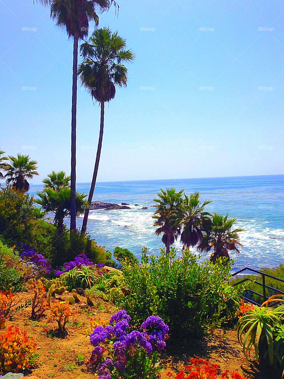 California’s beautiful coastline. 