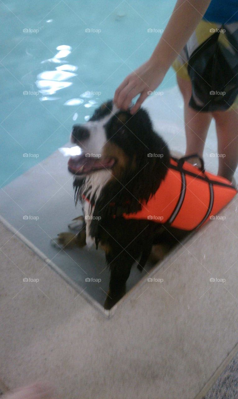 Berner Learning To Swim