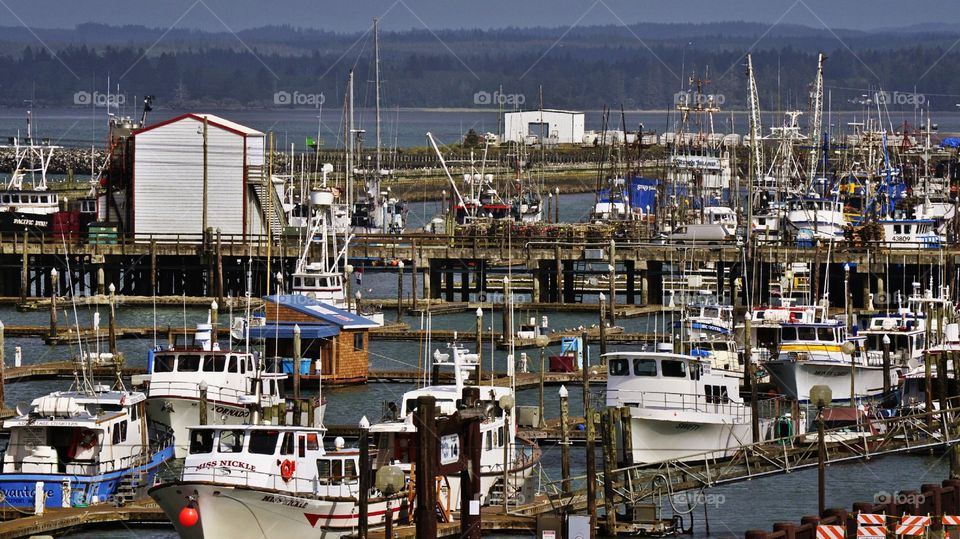 Marina at West port, Washington