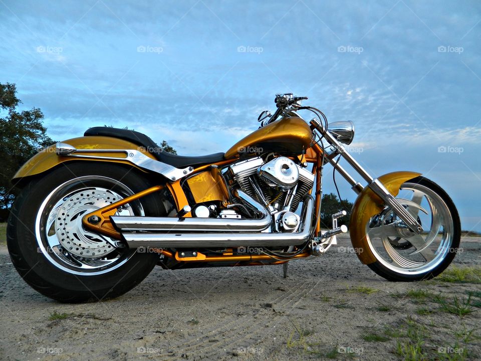 Flake and gold leaf customized motorcycle being displayed on the beach