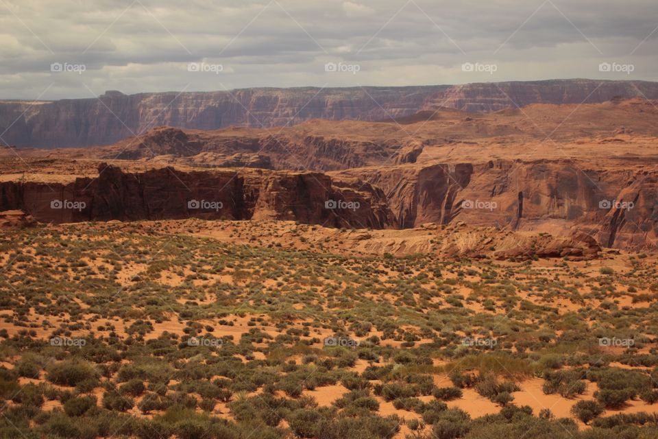 Horseshoe Bend