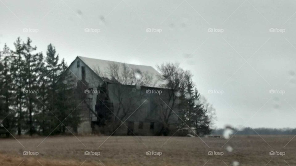 Landscape, Tree, No Person, Outdoors, House