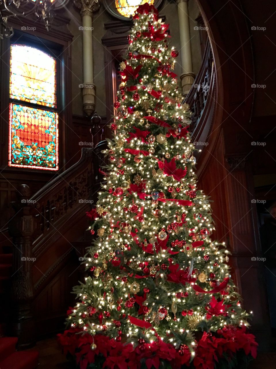 Christmas Tree in Bishop's Palace, Galveston