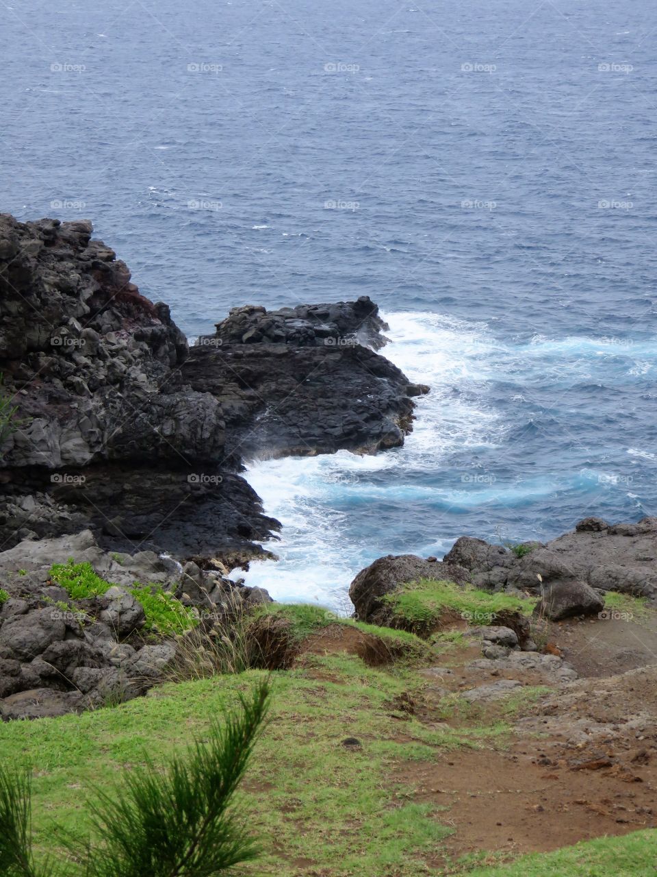 Hawaiian coast