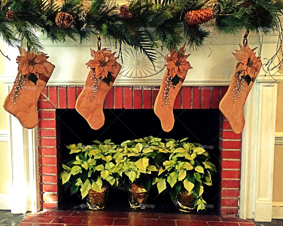 Potted Poinsettias in front of the fireplace.