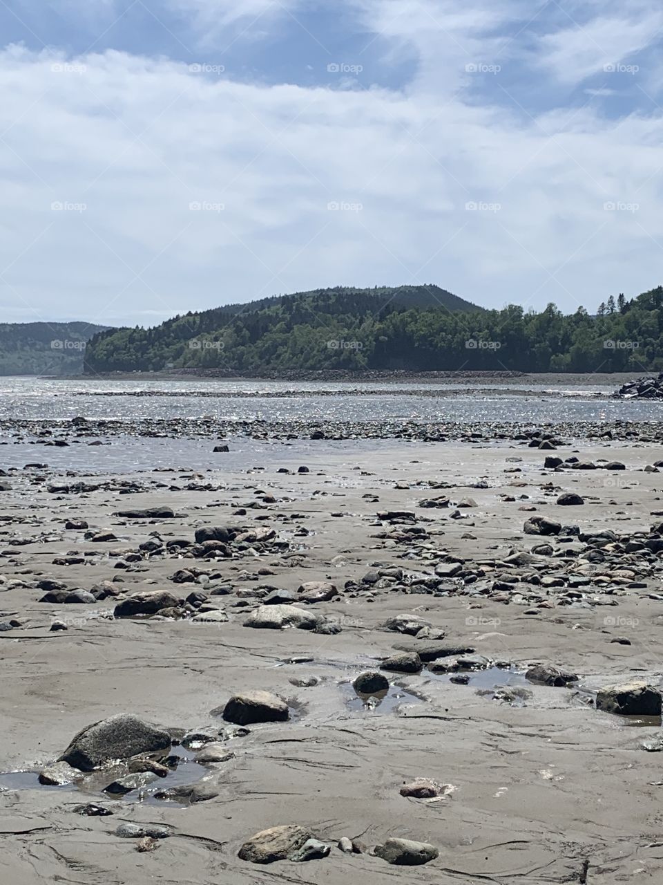 Walk the ocean floor in Alma, New Brunswick at the Bay of Fundy in the Fundy National Park. Discover the secrets that lie beneath the ocean.