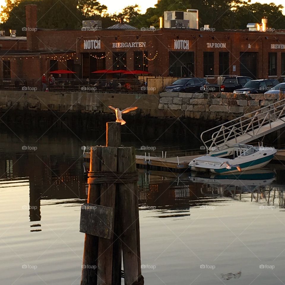 Notch Brewery Salem Ma