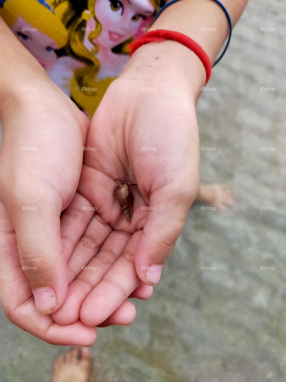 small sea creature that is quiet a handful