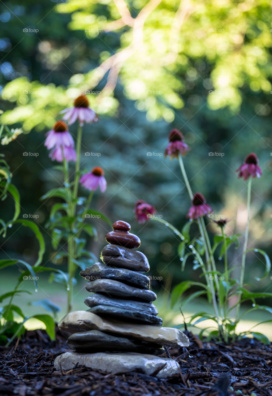 Nature, Garden, No Person, Leaf, Flower