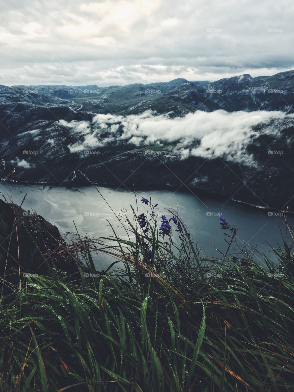 Water, Landscape, Lake, Nature, No Person