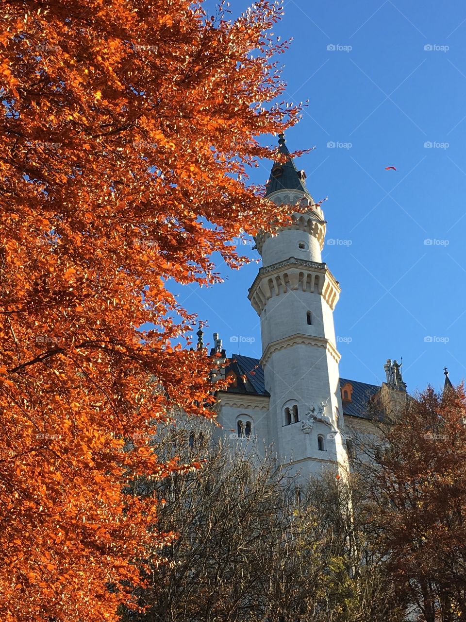 Neuschwanstein Castle, Bavaria Germany 