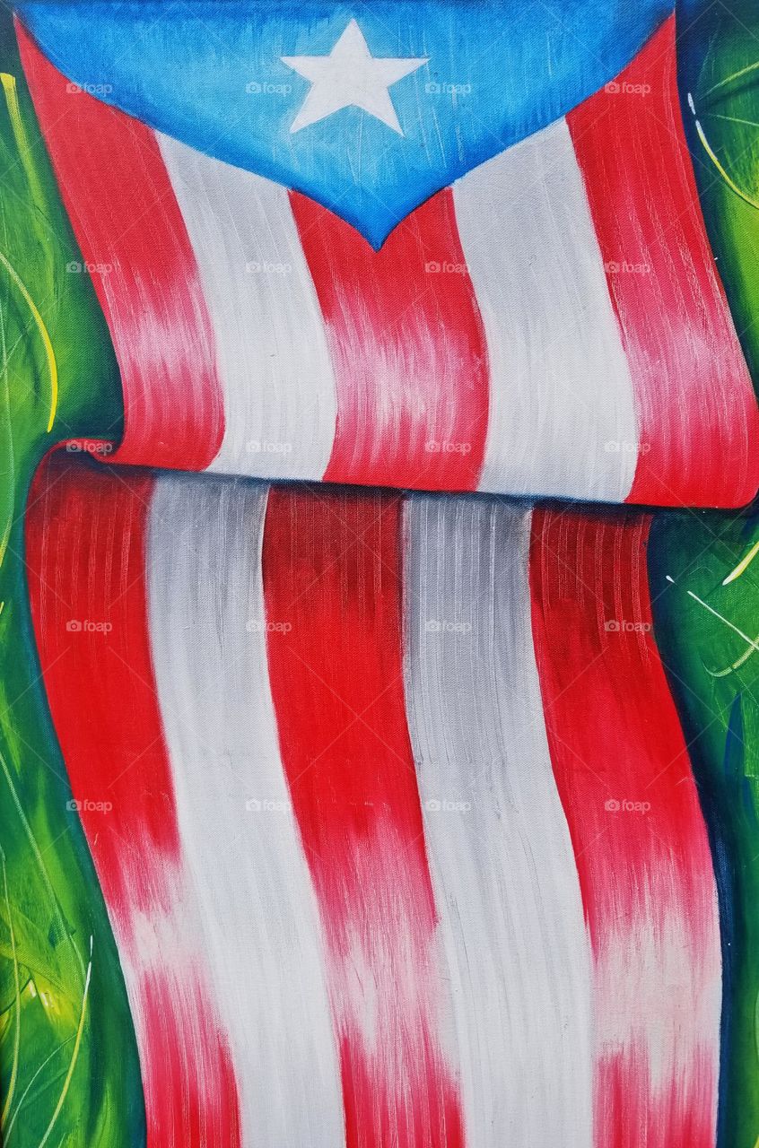 Flag portrait Puerto Rico 🇵🇷