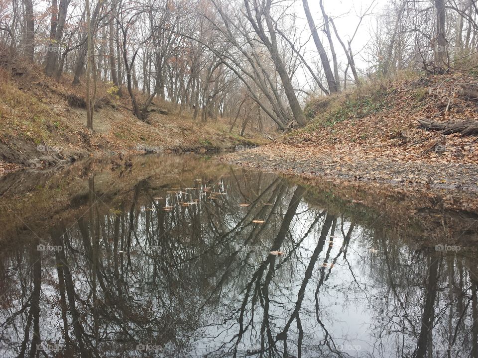 creek reflecting