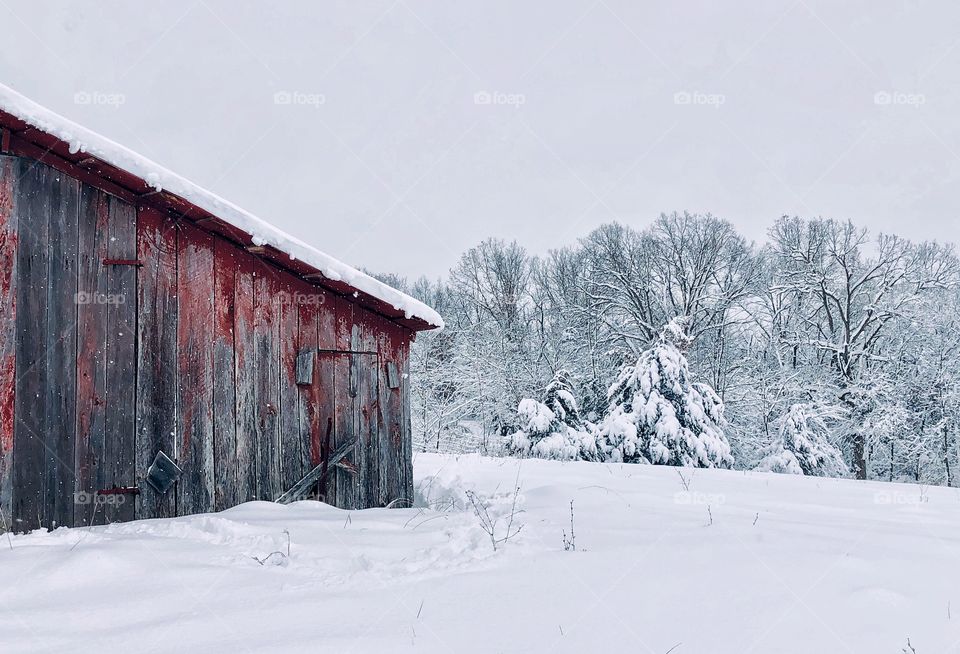 Winter snow scenes