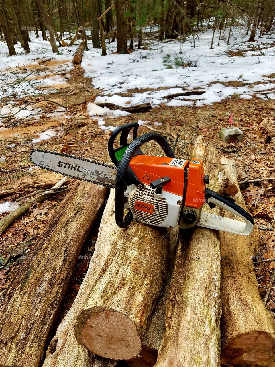 Older Stihl gas chainsaw displayed on stacked wood from fallen tree in background woodland area.