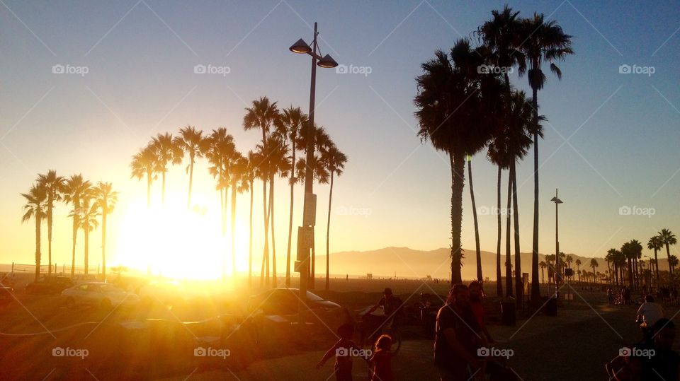 Venice beach sunset