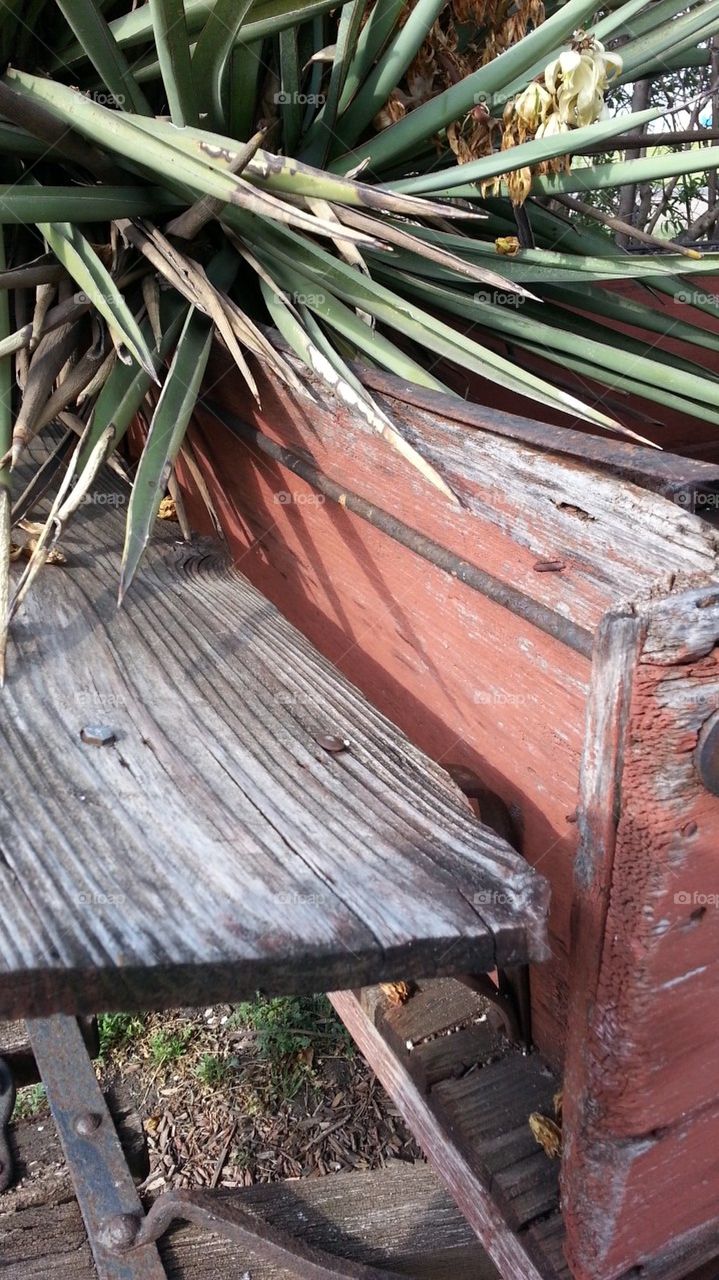 Buckboard stagecoach