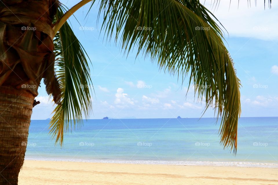 Let the Vacation begin.