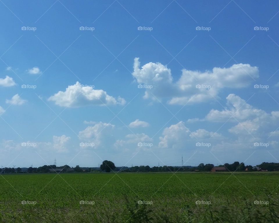 I see a little elephant in the clouds