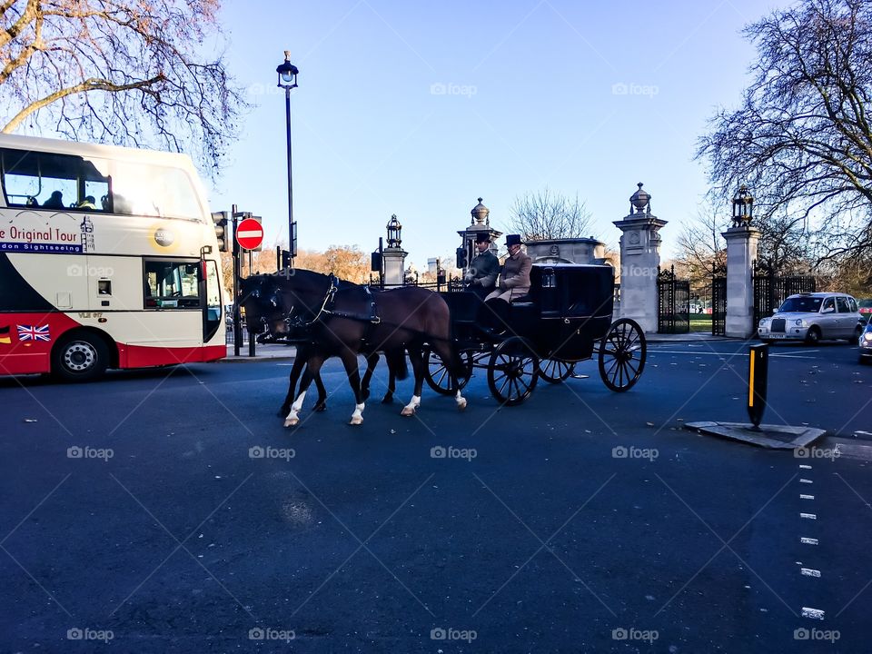Horse and carriage 