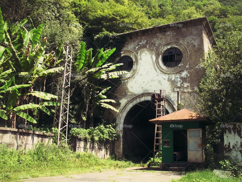 Abandoned tunnel for the train in subtropical region of Abkhazia