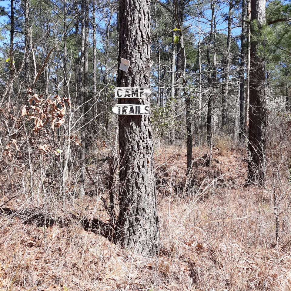 Camp Trail Signs while Hiking