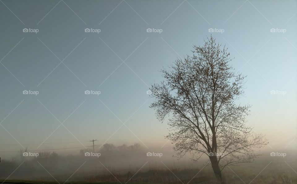foggy morning