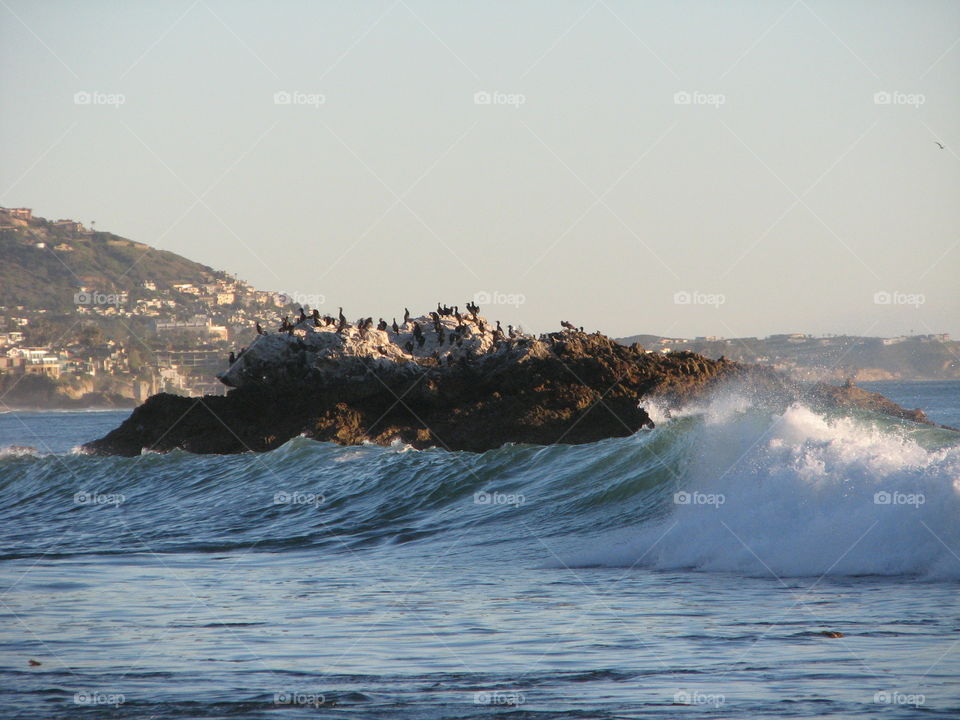 Famous Bird Rock, Laguna Beach, CA.