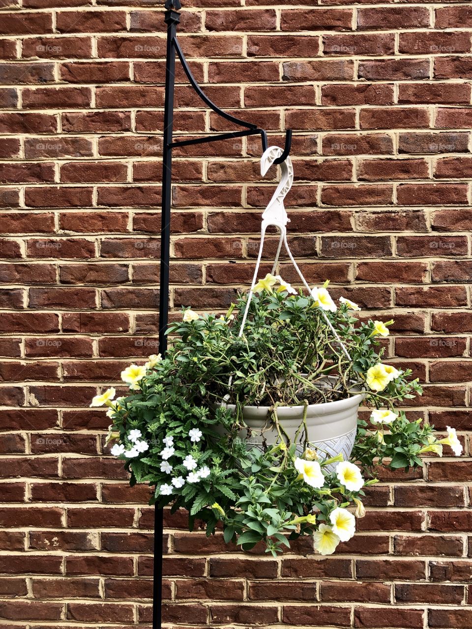 Decorative hanging basket 