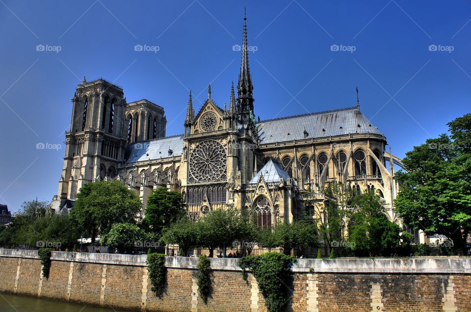 Cathedral of Notredame . So there I was.... in Paris