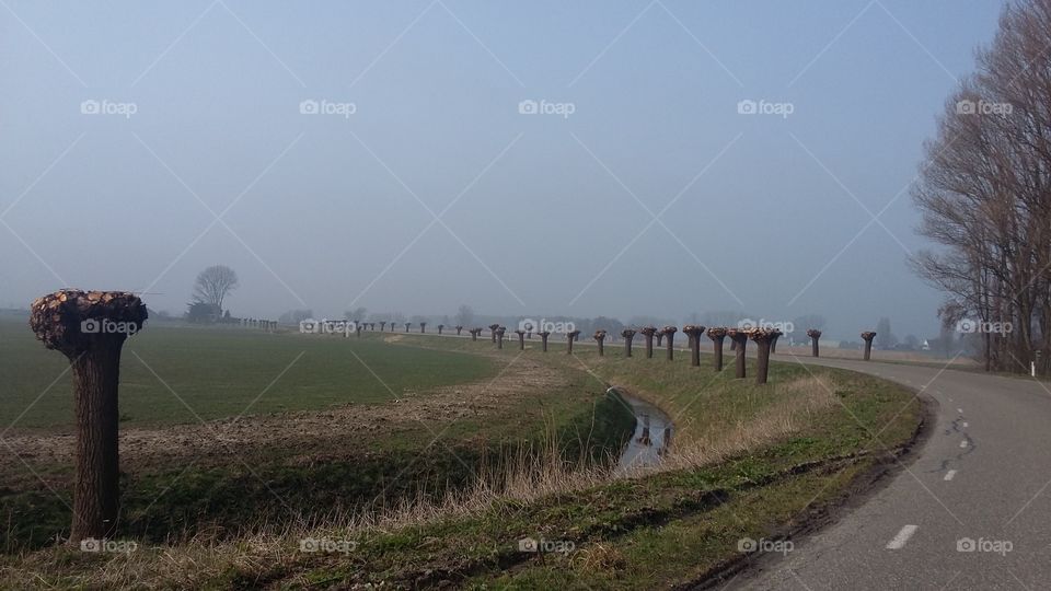great green view the netherlands