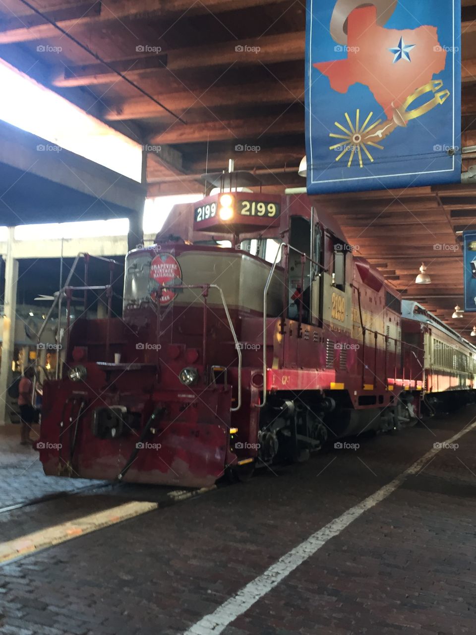 Grapevine vintage railroad