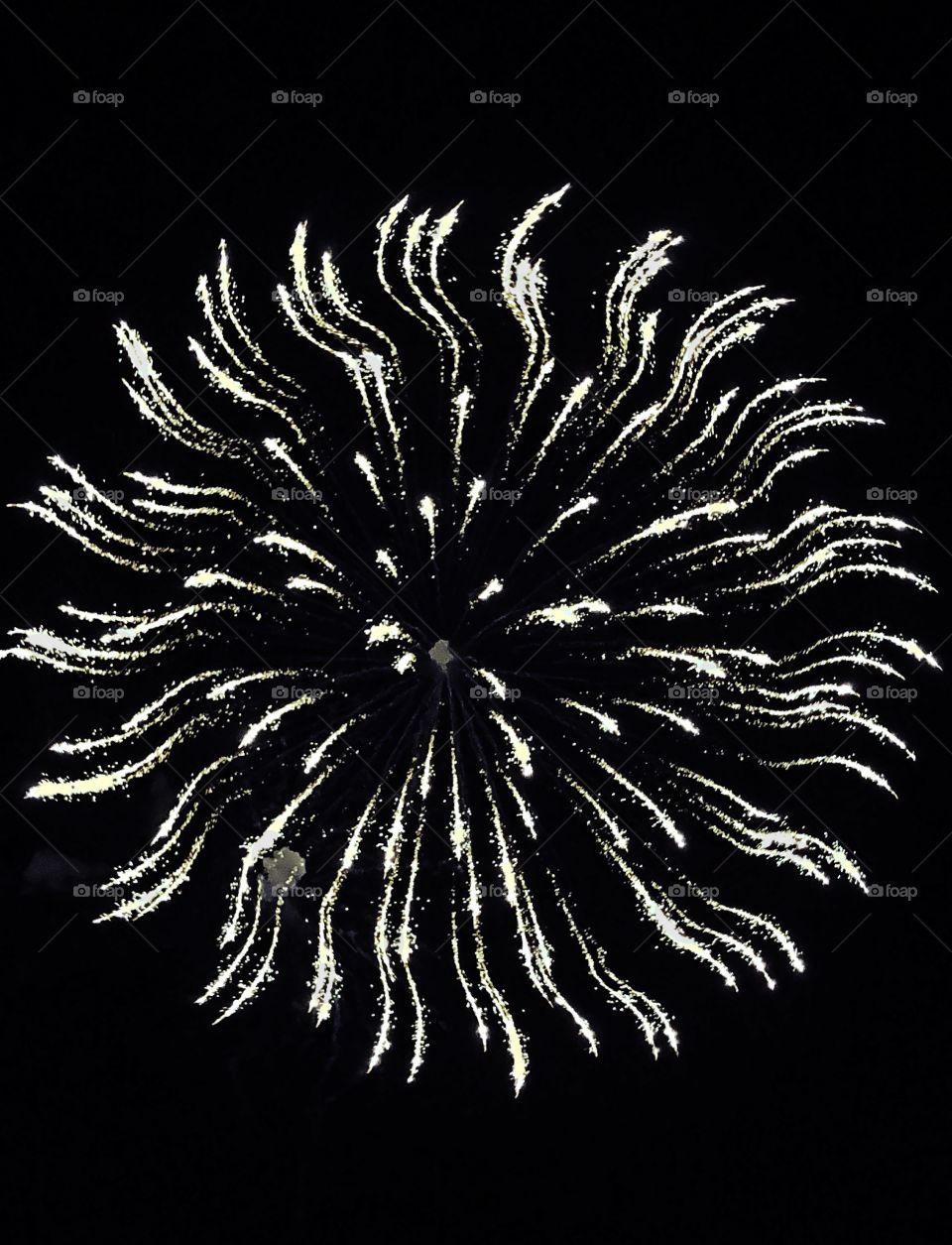 Night sky firework black and white 