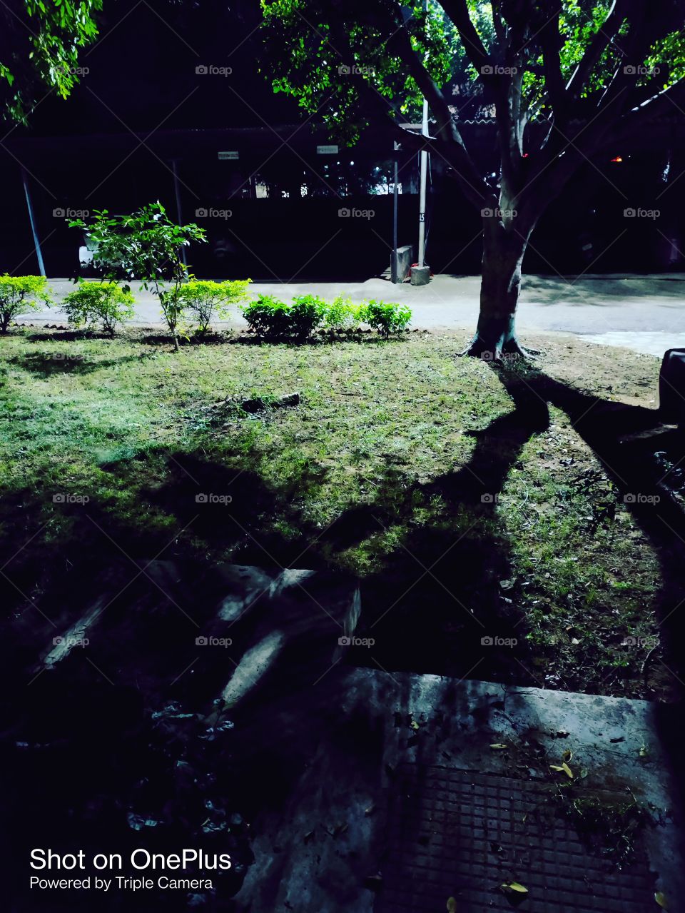 Night Street scene with tree shadow