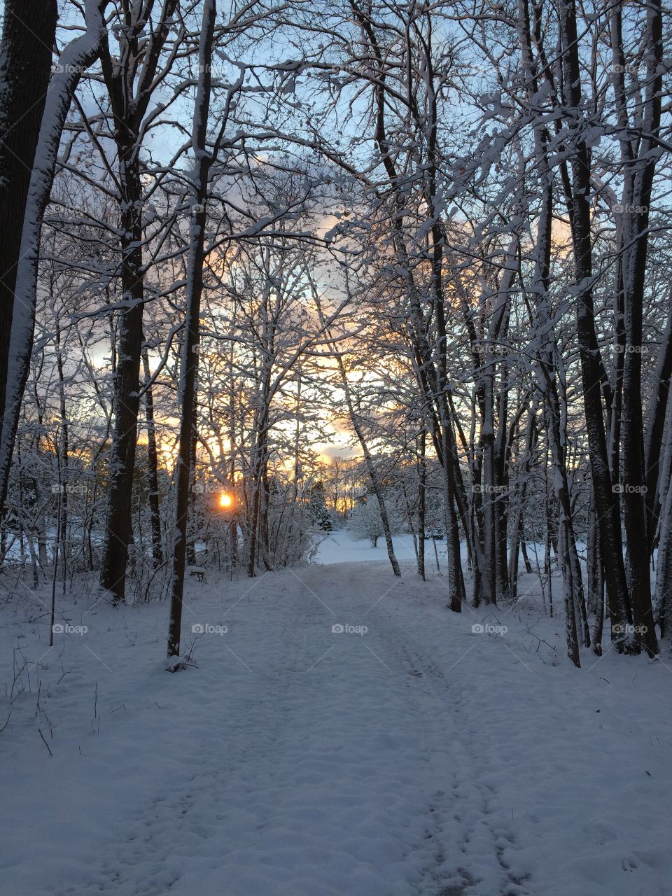 Michigan winter sunrise 