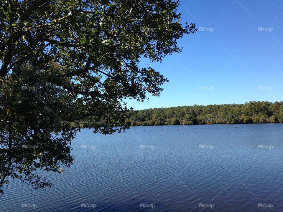 Louisiana Lake