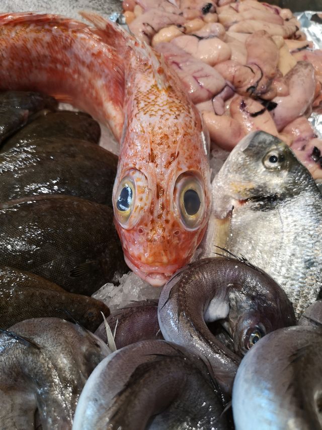 Fish