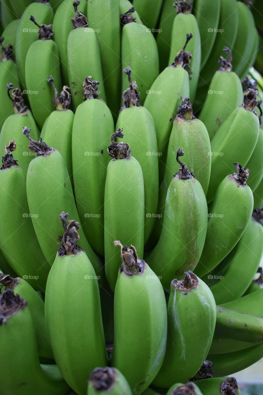 Small green bananas