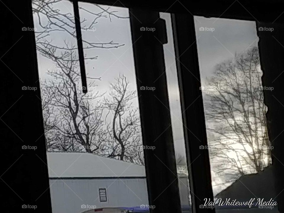 dark clouds glass window trees branches