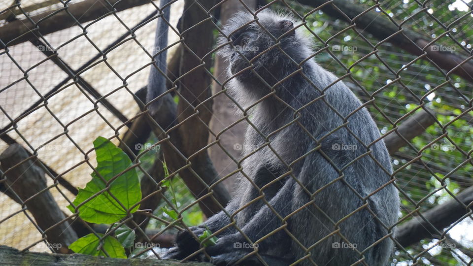 missing my true habitat #sonya6000