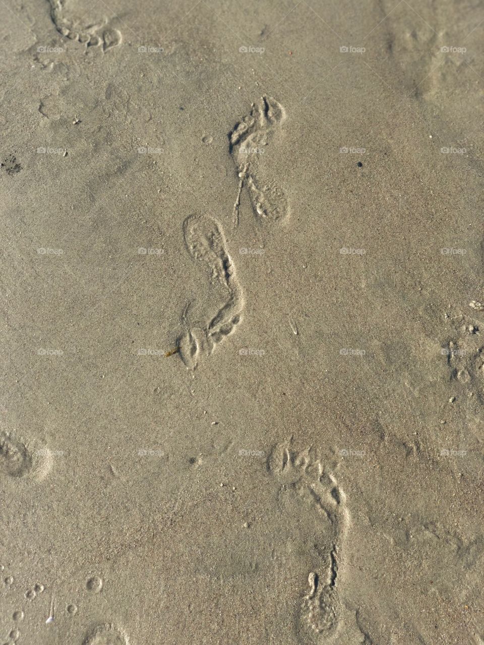 Footprints 👣