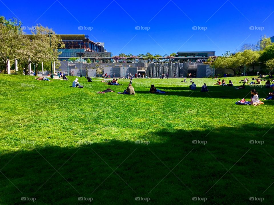 Bucolic scene at Yerba Buena Gardens in San Francisco features people sitting on the green grass