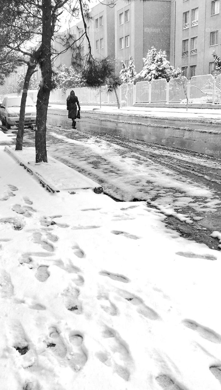 The snow came and it was like a miracle , once again bright and white dreams came alive in my heart