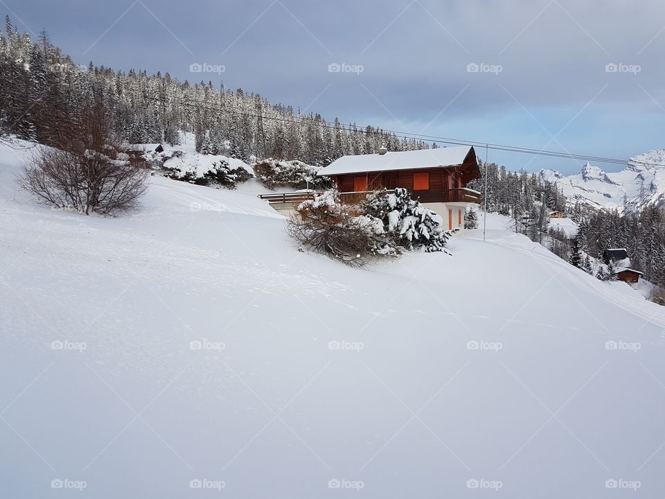 Alpen Snow